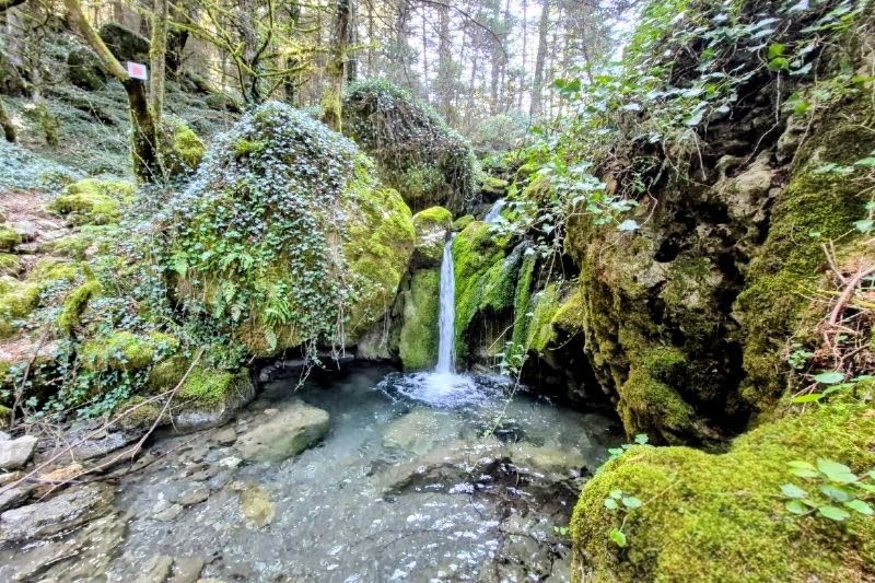 ΑΡΚΟΥΔΟΡΕΜΑ