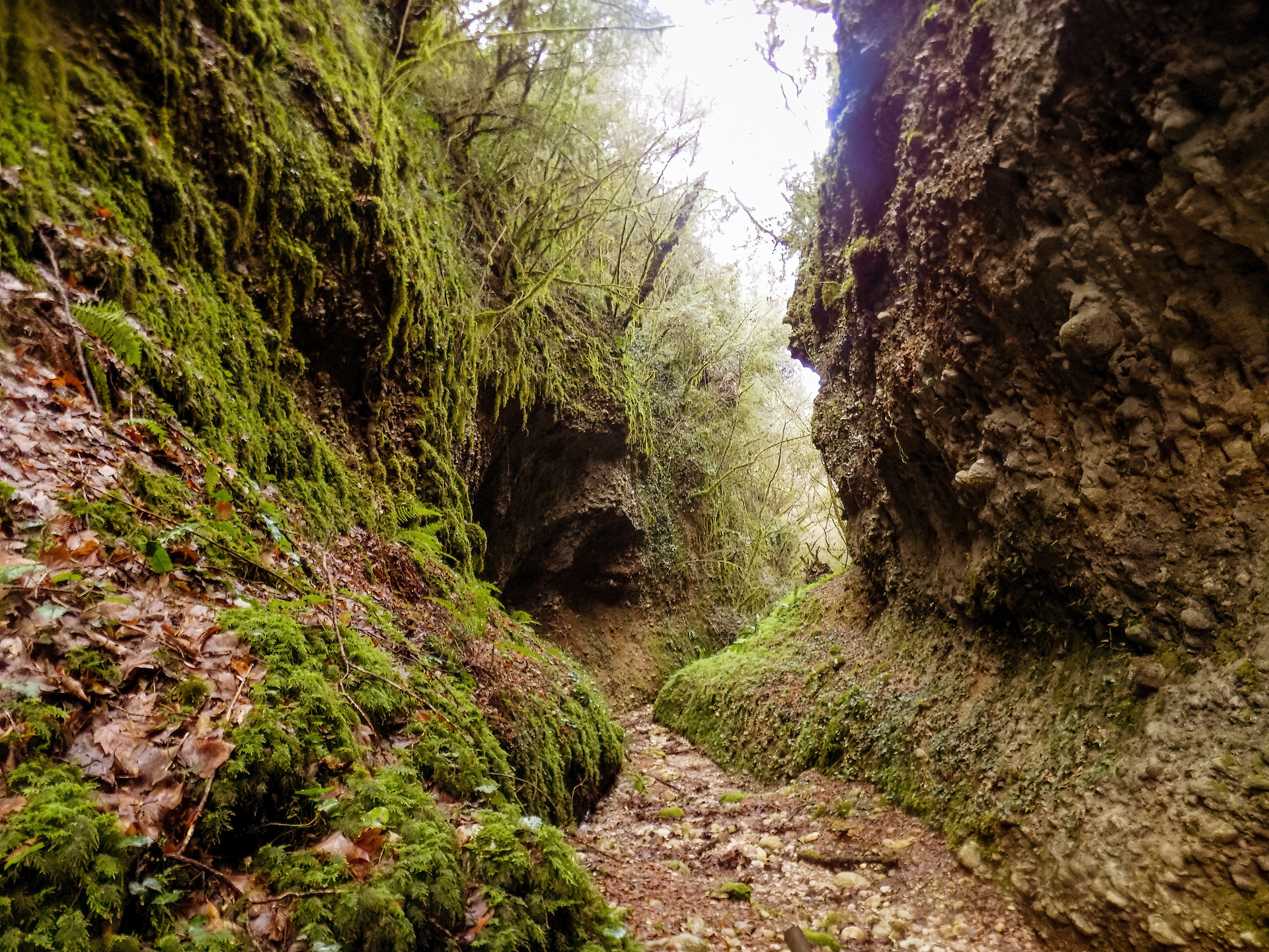 φαράγγι κενταύρων