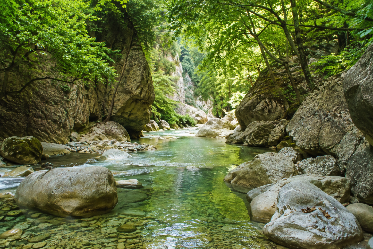 ΣΤΡΟΠΩΝΕΣ